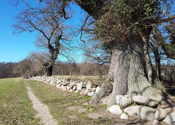 4 Person In Vordingborg-by Traum